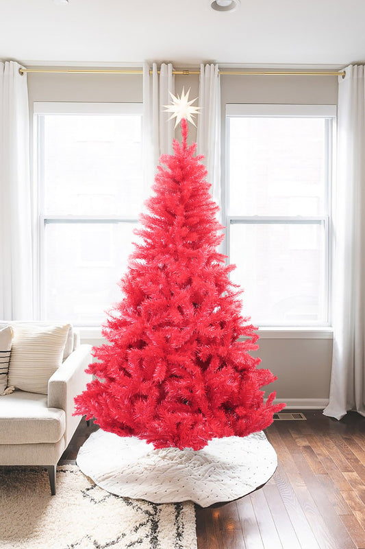 6' Red Norway Pine Tree