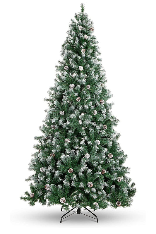 Frosted Oregon Fir with Snow Dusted Pine Cones