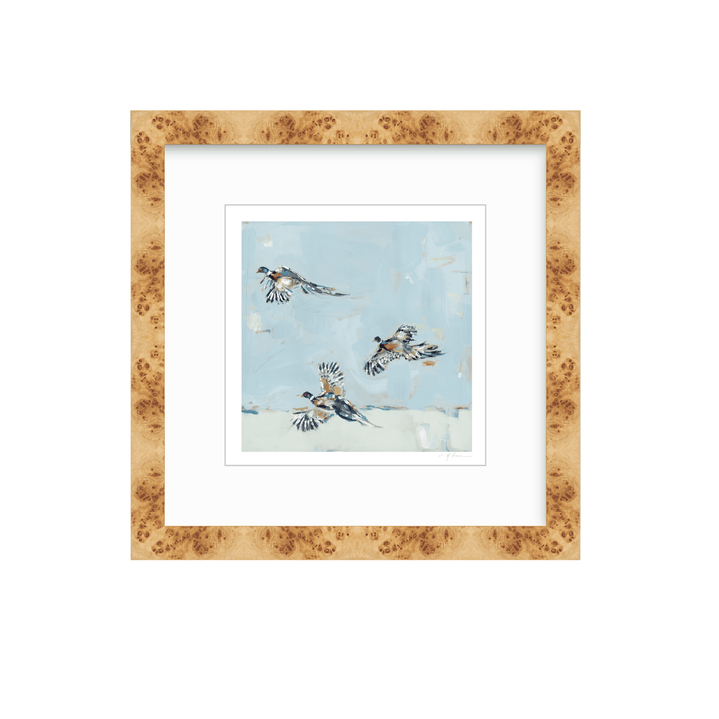 Pheasantly Surpised Pheasant Fine Art Print