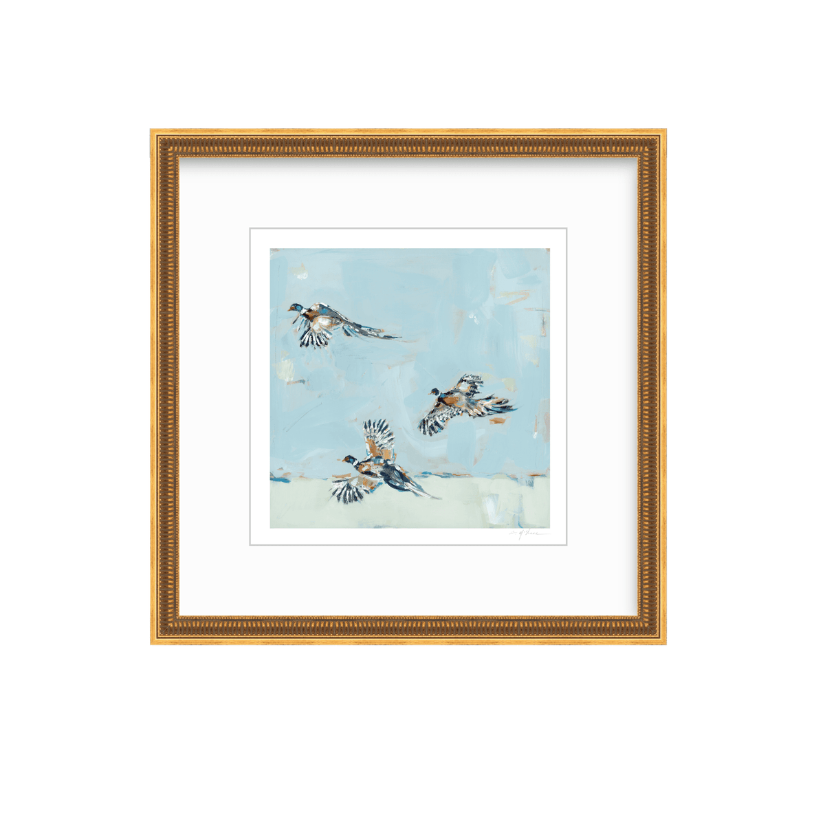 Pheasantly Surpised Pheasant Fine Art Print