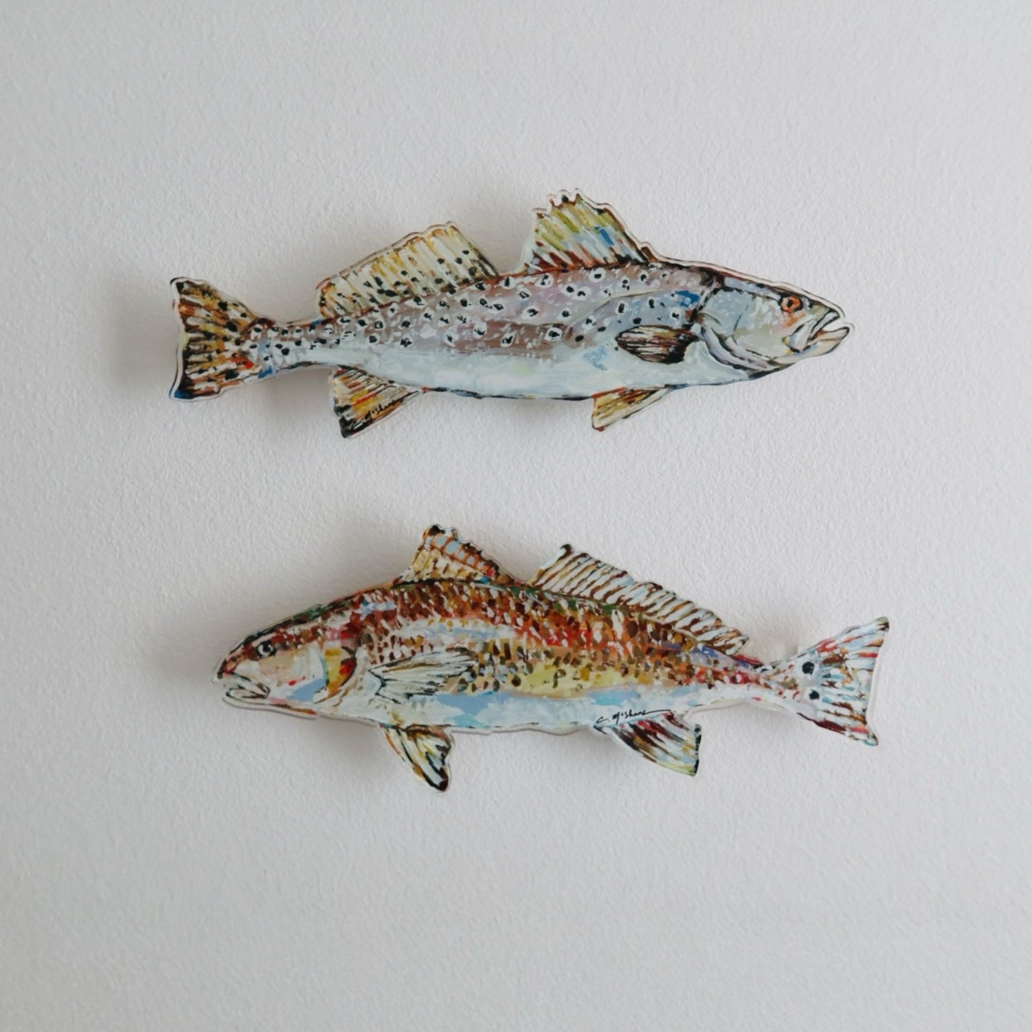 Redfish Acrylic Wall Contour