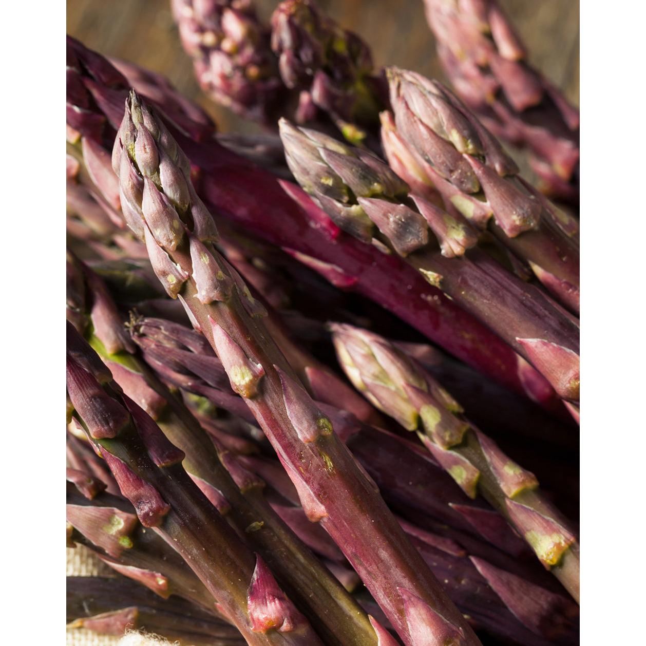 Purple Passion Asparagus Crowns - 10 root divisions