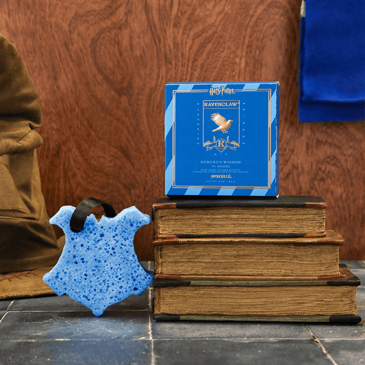 a blue sponge on top of a stack of books