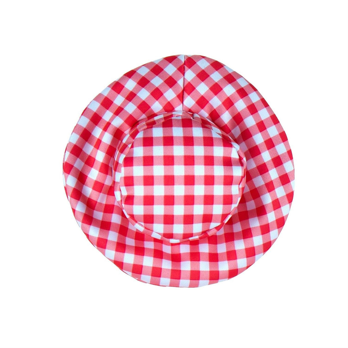 Red Gingham Dress Porch Goose Outfit