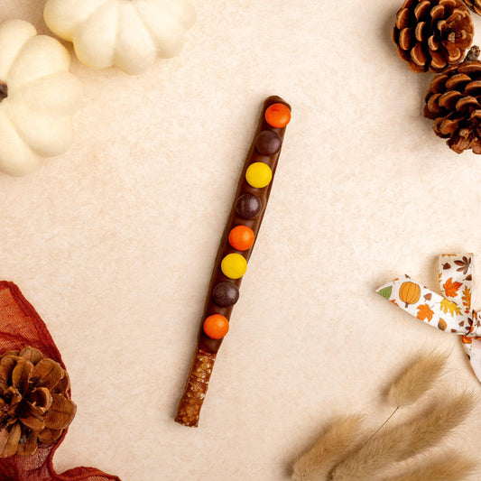 a candy on a stick next to pine cones and pumpkins