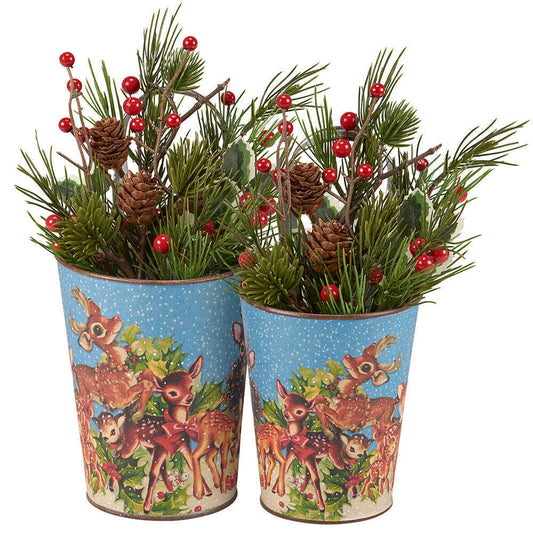 two containers with plants and berries