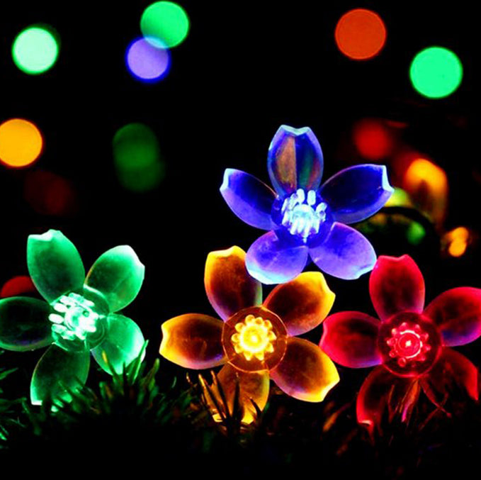 a group of colorful flowers with lights