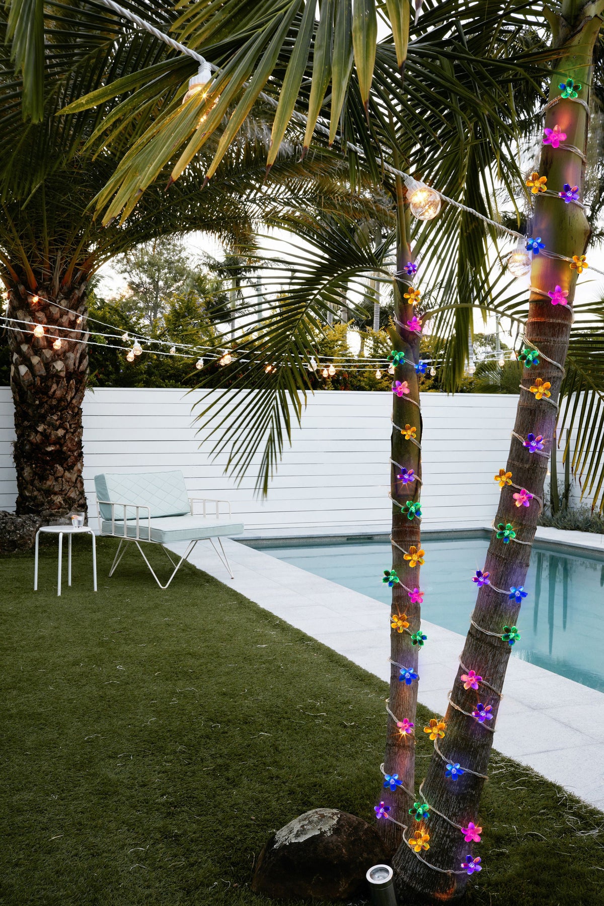 a palm trees with lights on it