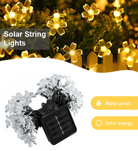 a solar string lights on a plant
