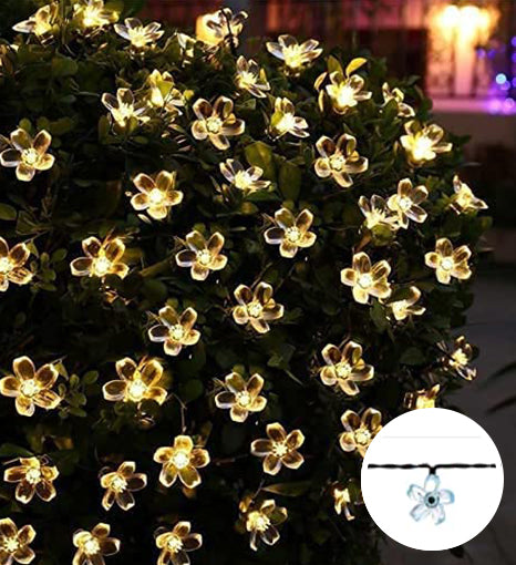 a close up of a plant with lights