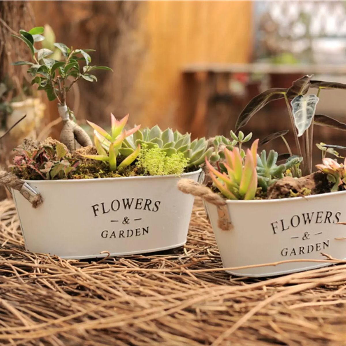 Farmhouse Metal Flower Planters (Oval & Round)