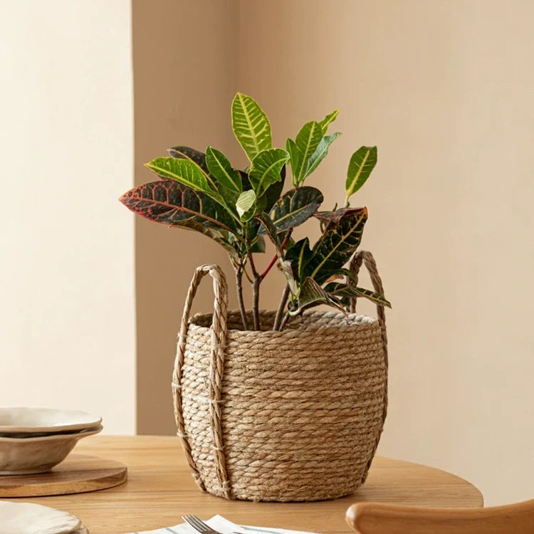 Meadow Woven Storage Basket