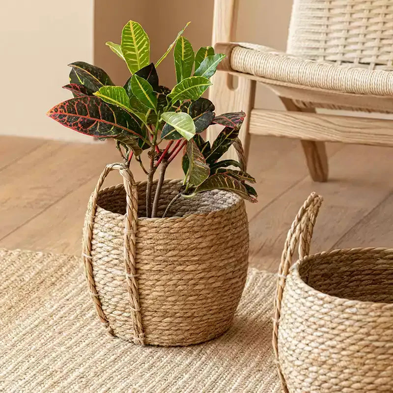 Meadow Woven Storage Basket