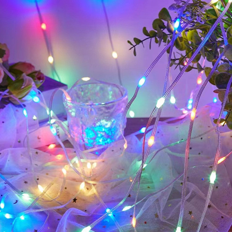 100 LED String Light, Multicolor