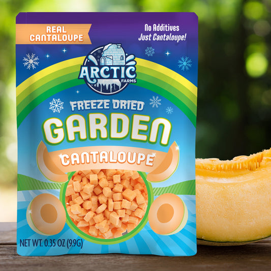 Freeze Dried Cantaloupe Melon