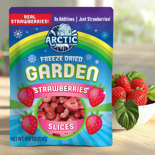Freeze Dried Strawberries Organic Strawberry Slices