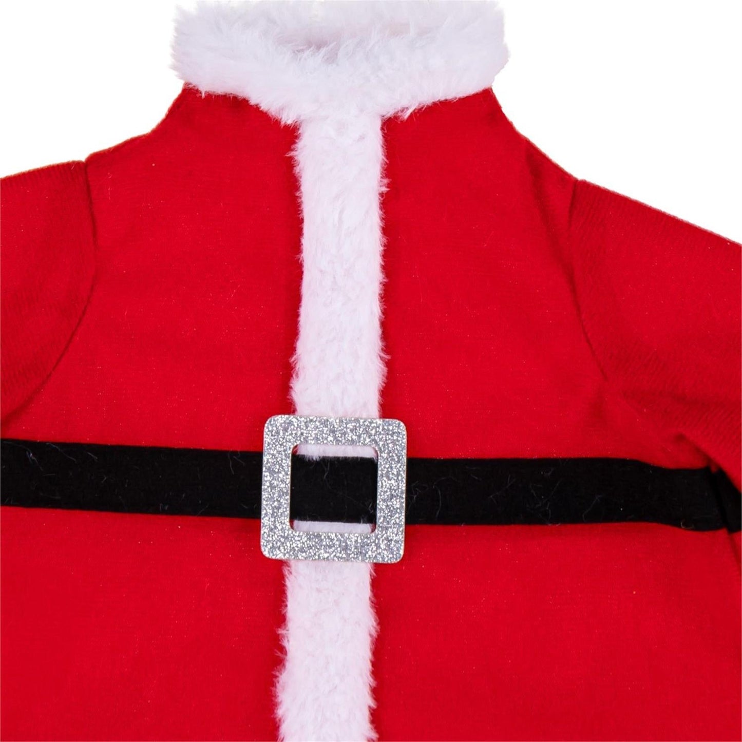 Santa Claus Porch Goose Outfit