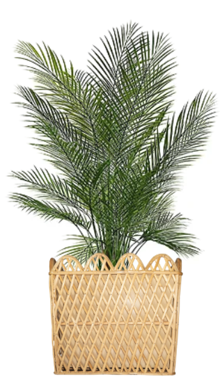 Square Rattan Scalloped Planter