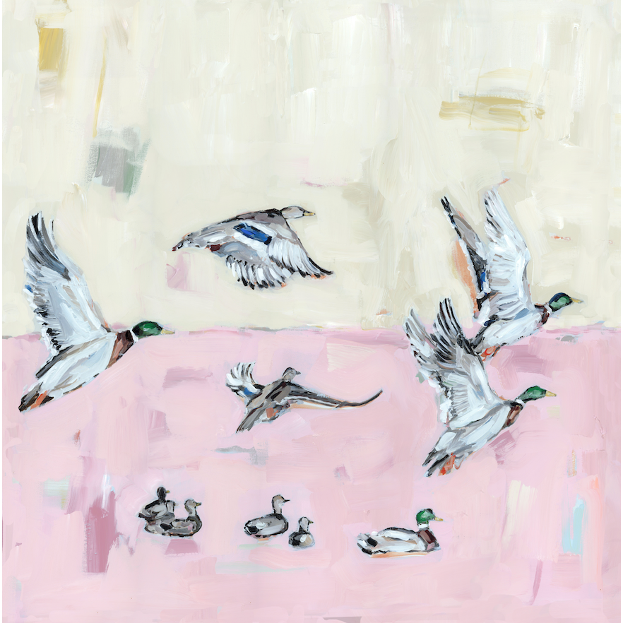 Taking Off Pink Ducks Fine Art Print