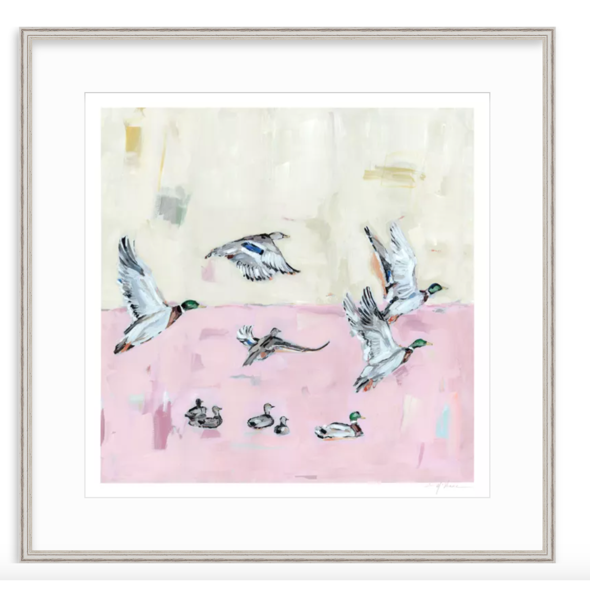 Taking Off Pink Ducks Fine Art Print