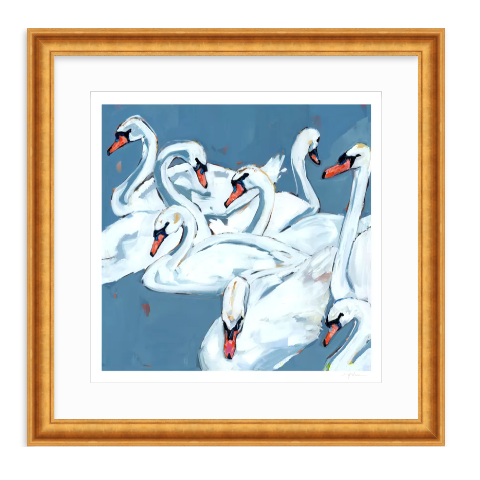 Swan Lake Swan Fine Art Print