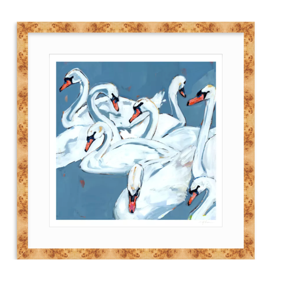 Swan Lake Swan Fine Art Print