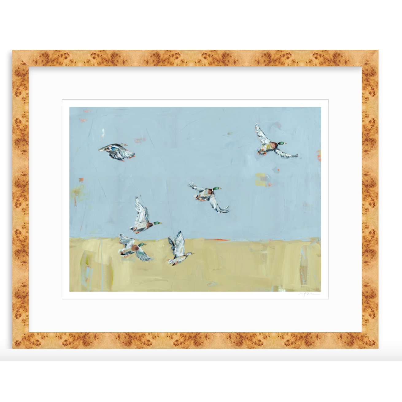 Here We Go Again Ducks Fine Art Print