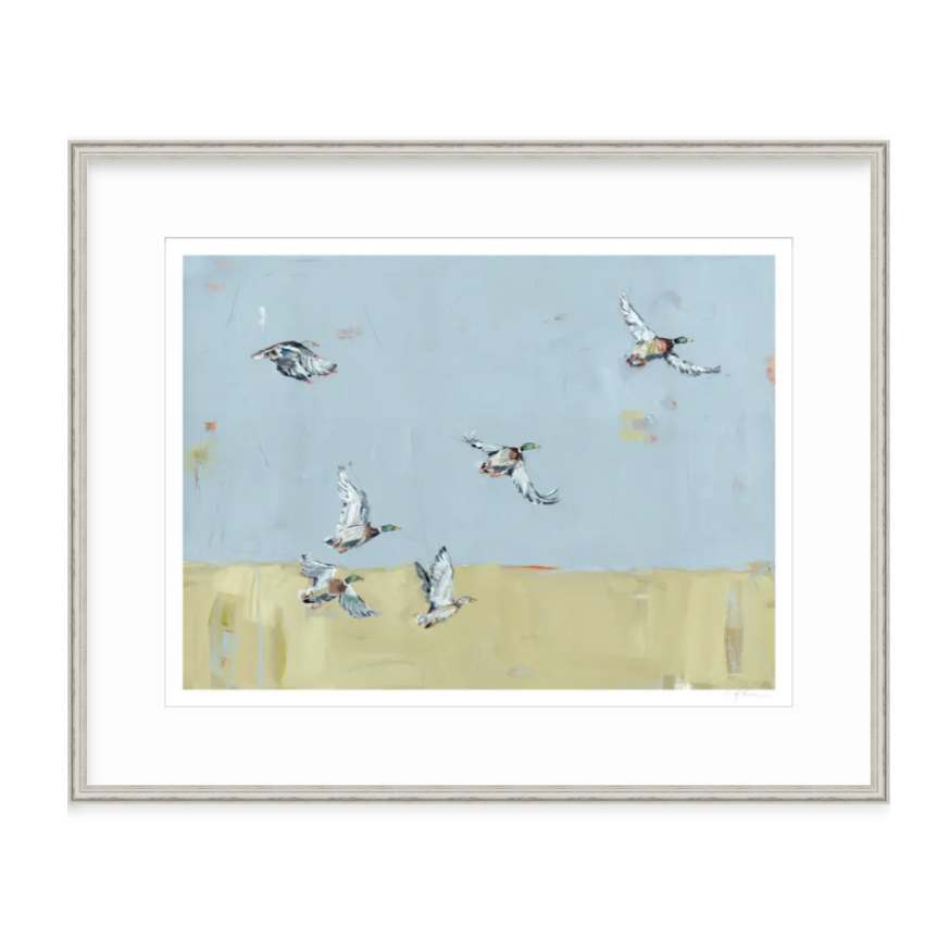 Here We Go Again Ducks Fine Art Print