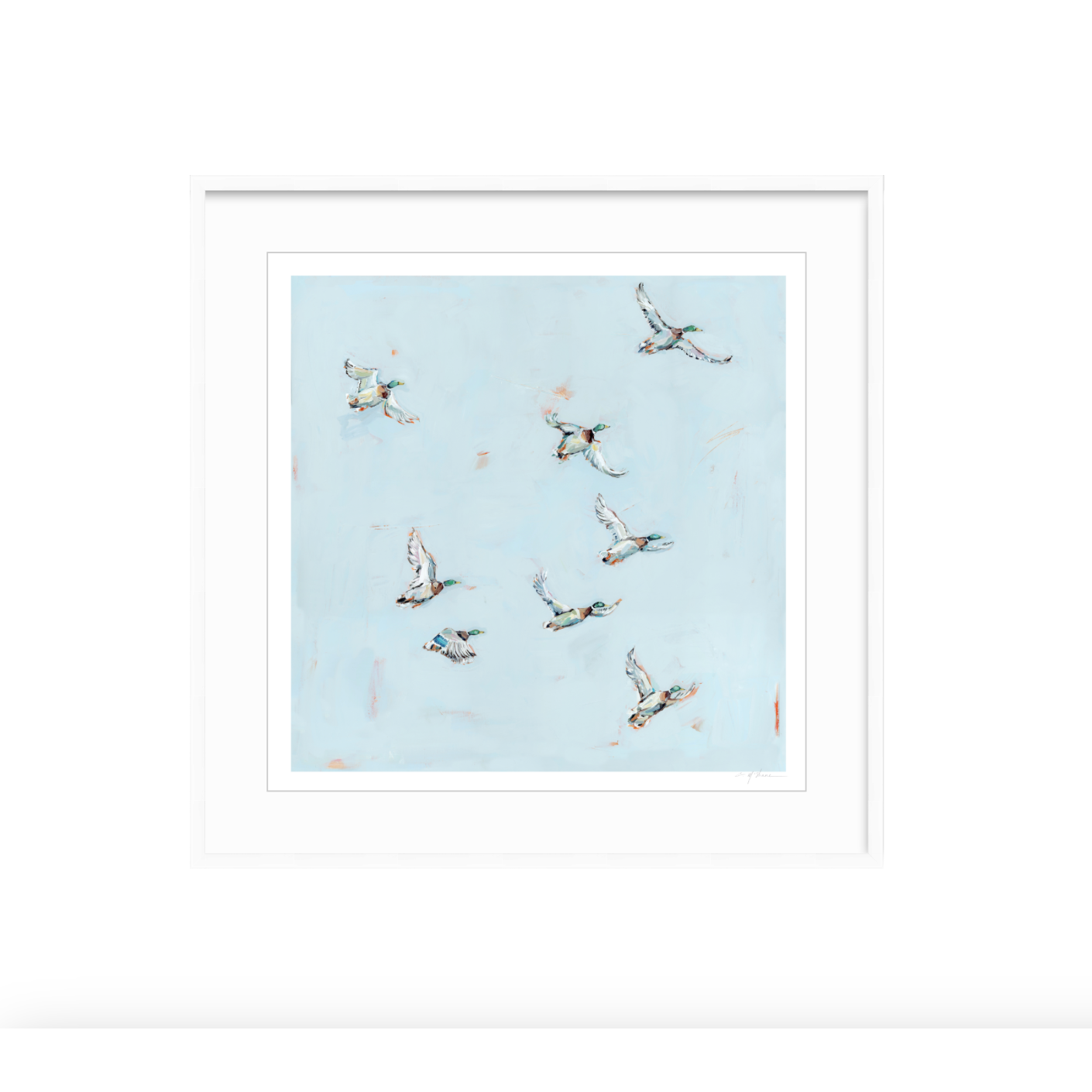 Free Flying Ducks Fine Art Print