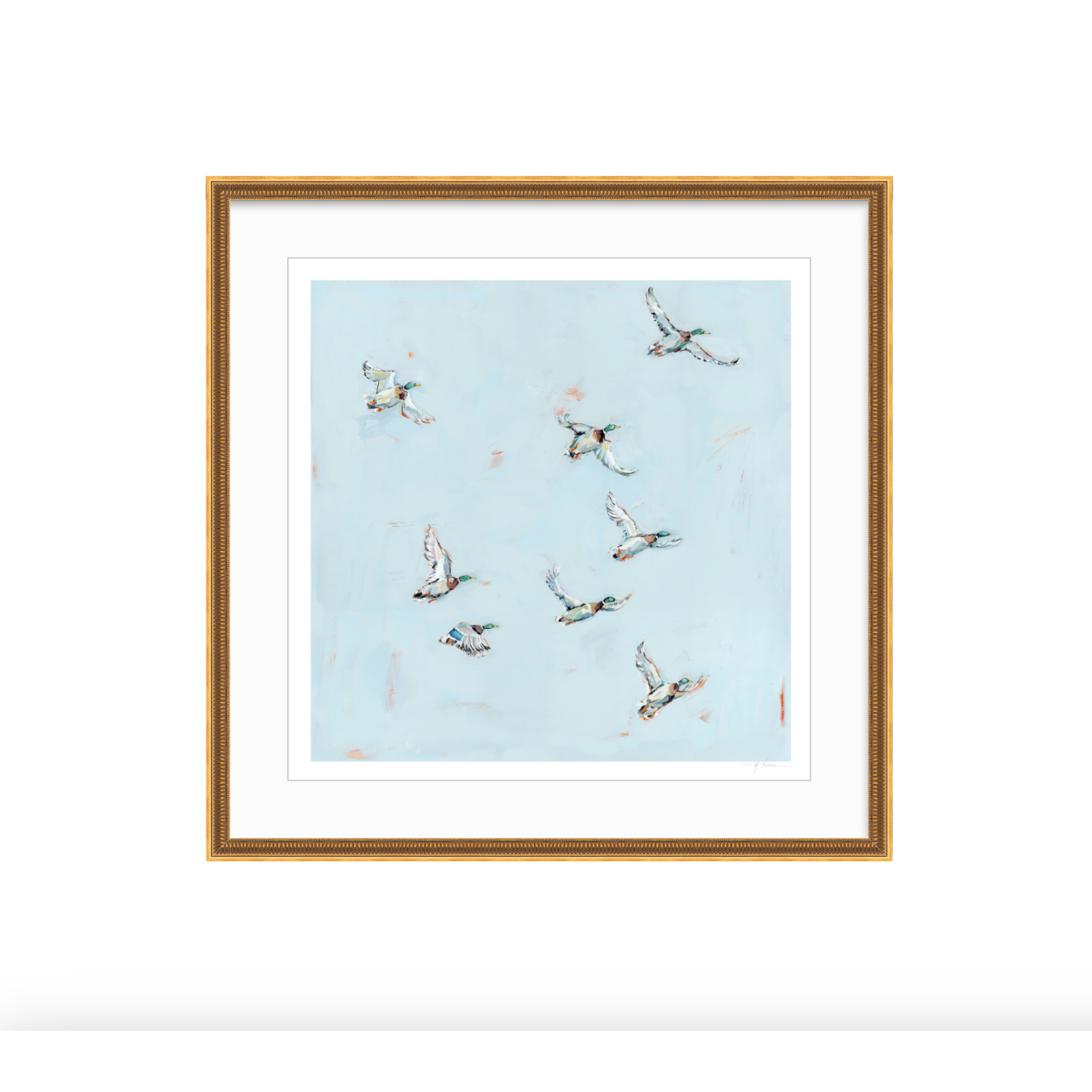 Free Flying Ducks Fine Art Print