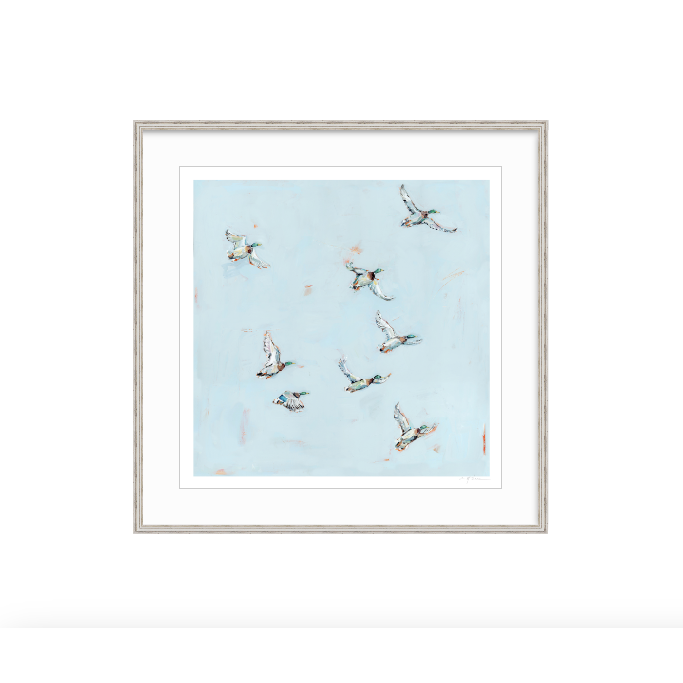 Free Flying Ducks Fine Art Print