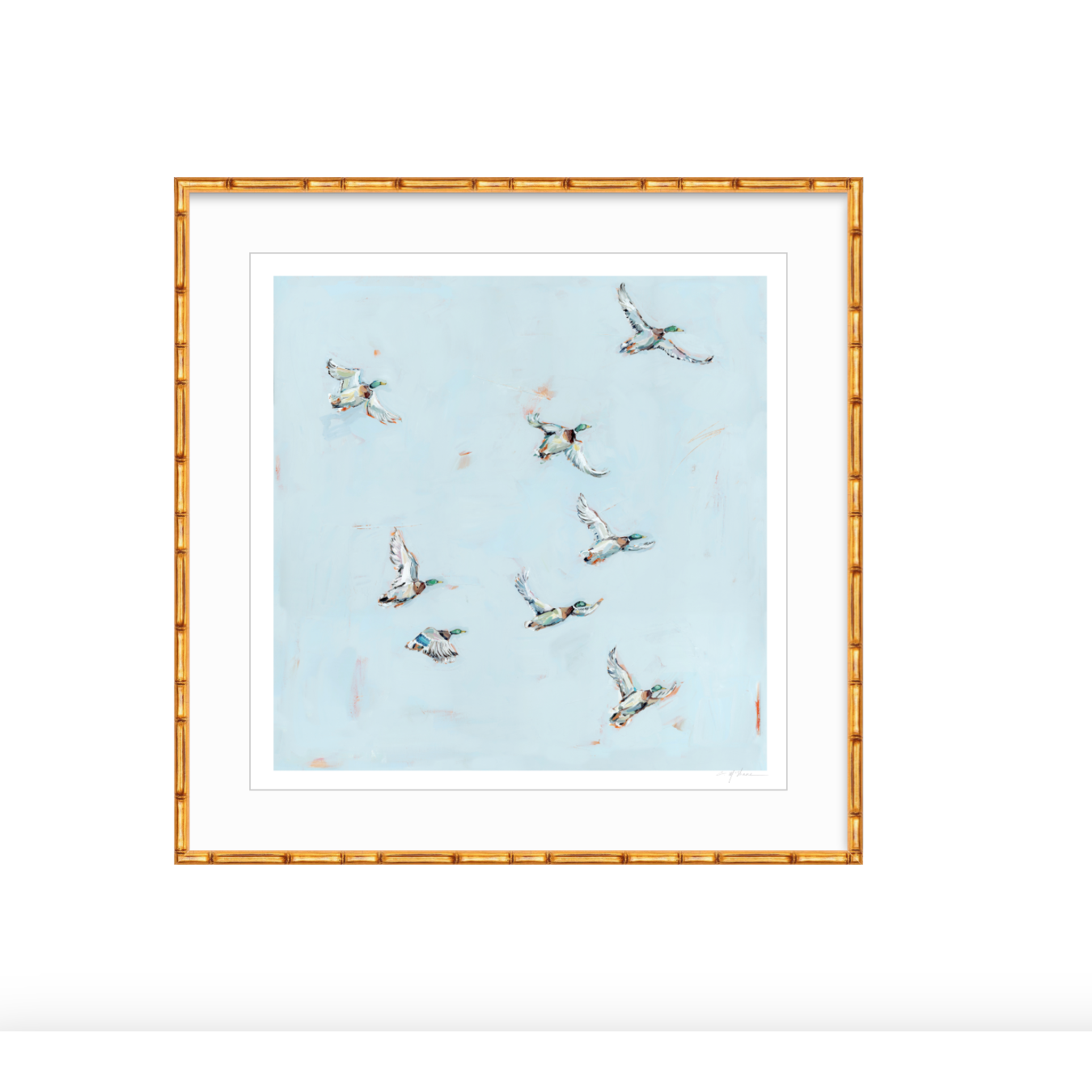 Free Flying Ducks Fine Art Print