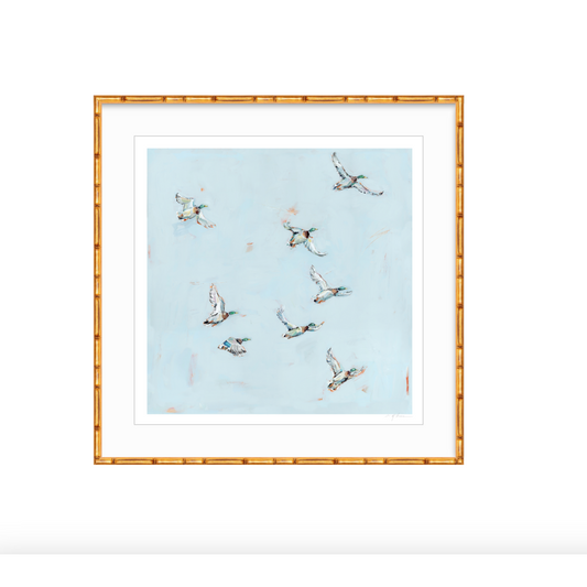 Free Flying Ducks Fine Art Print