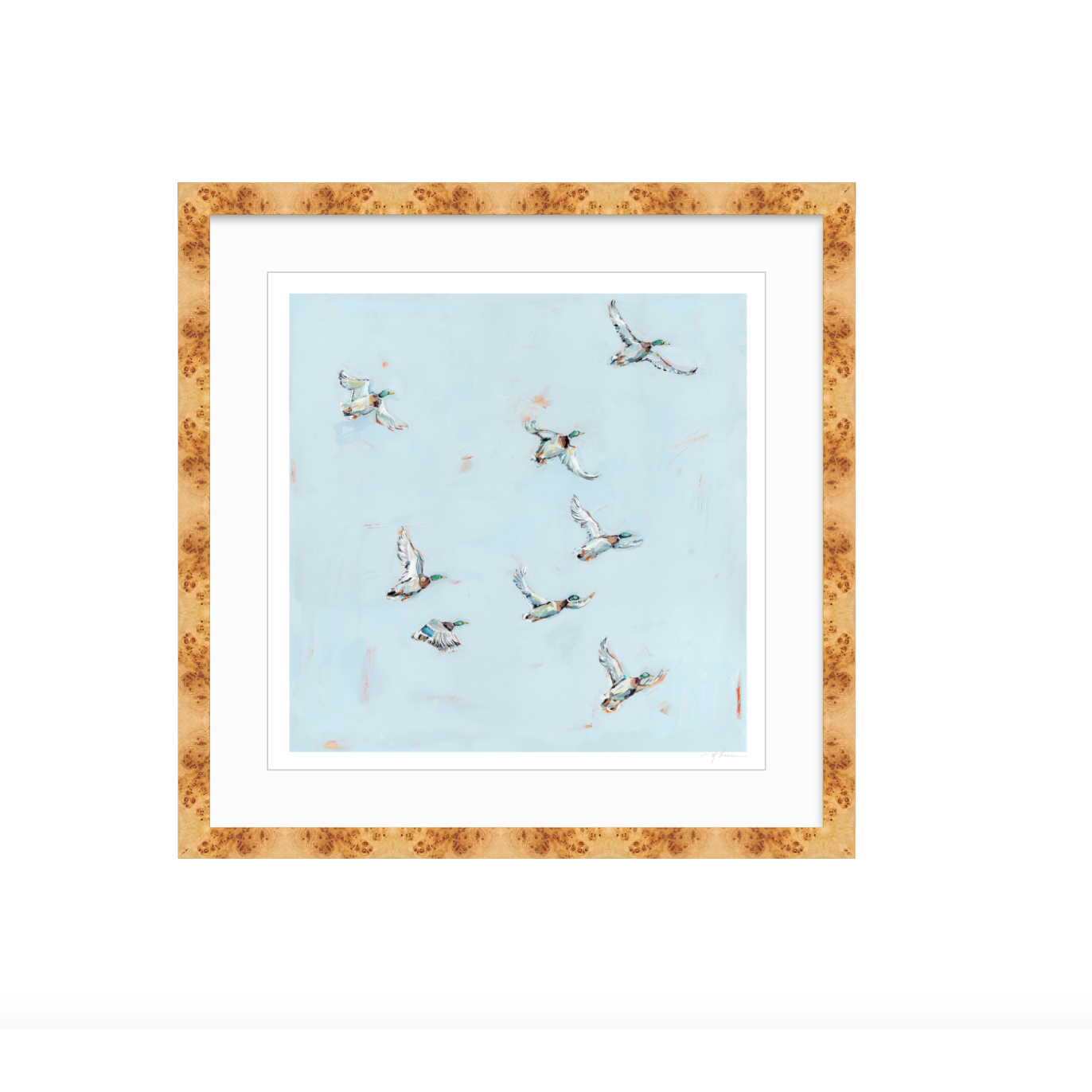 Free Flying Ducks Fine Art Print
