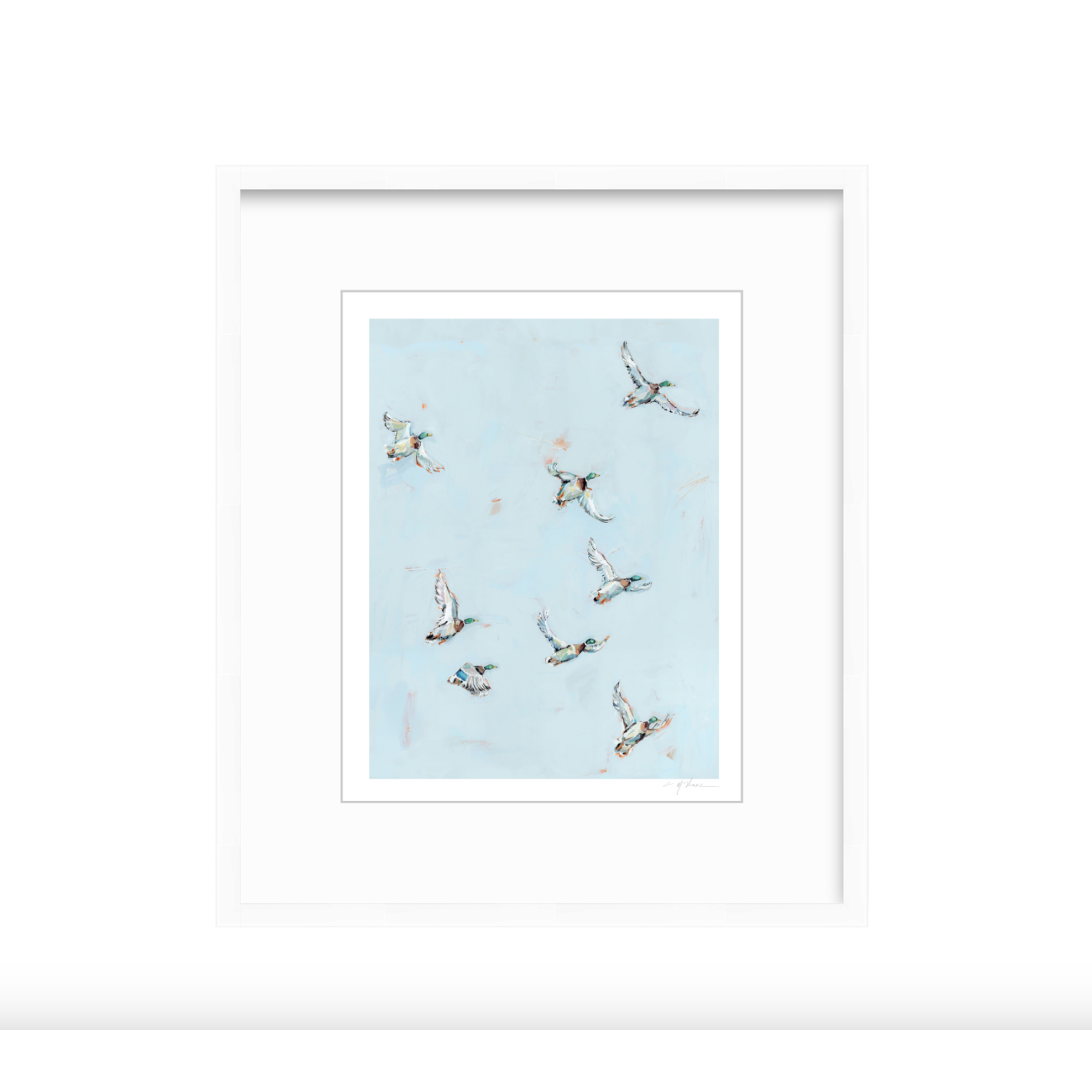 Free Flying Ducks Fine Art Print