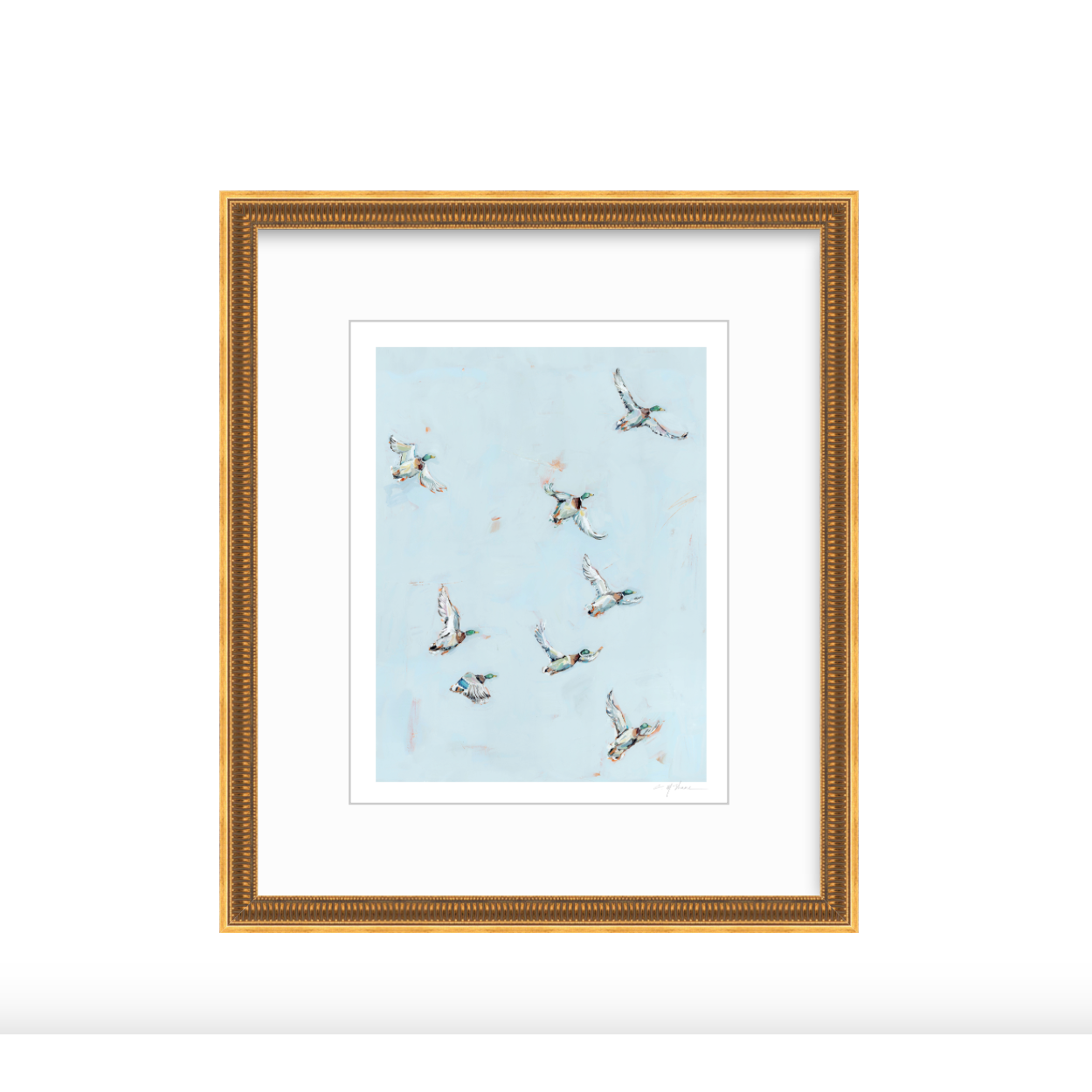Free Flying Ducks Fine Art Print