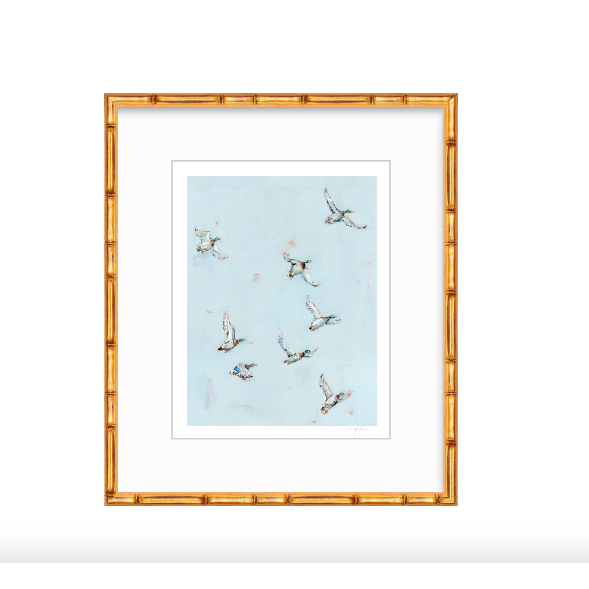 Free Flying Ducks Fine Art Print