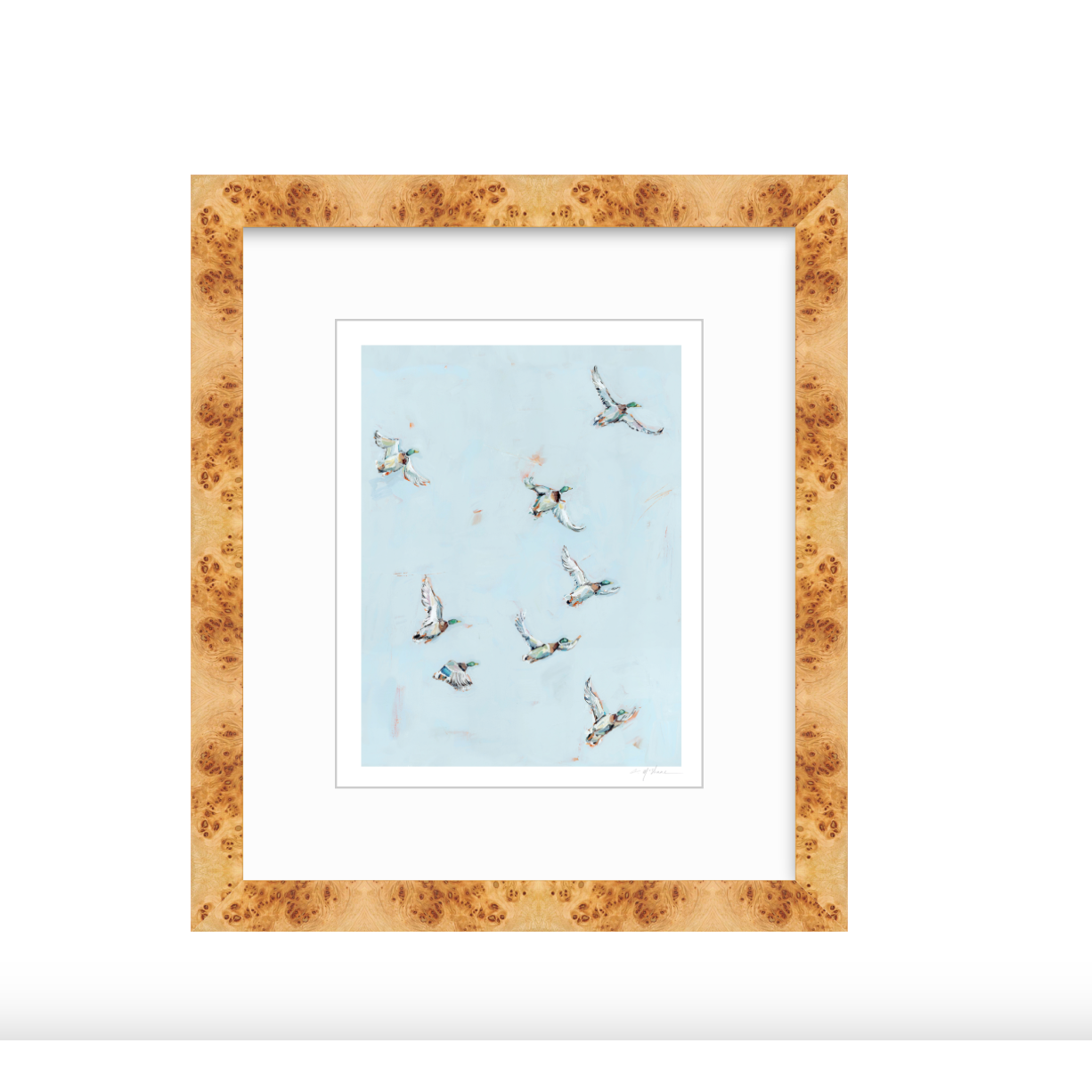 Free Flying Ducks Fine Art Print