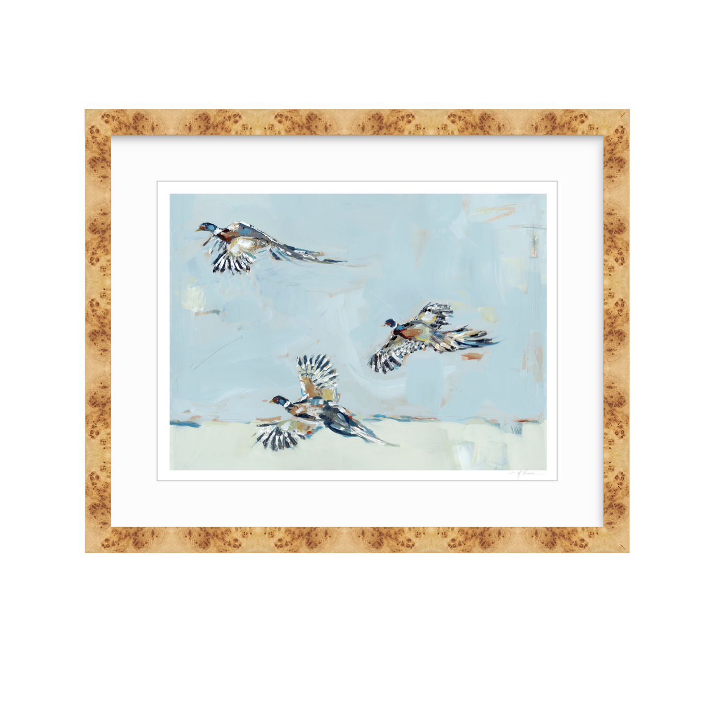 Pheasantly Surpised Pheasant Fine Art Print