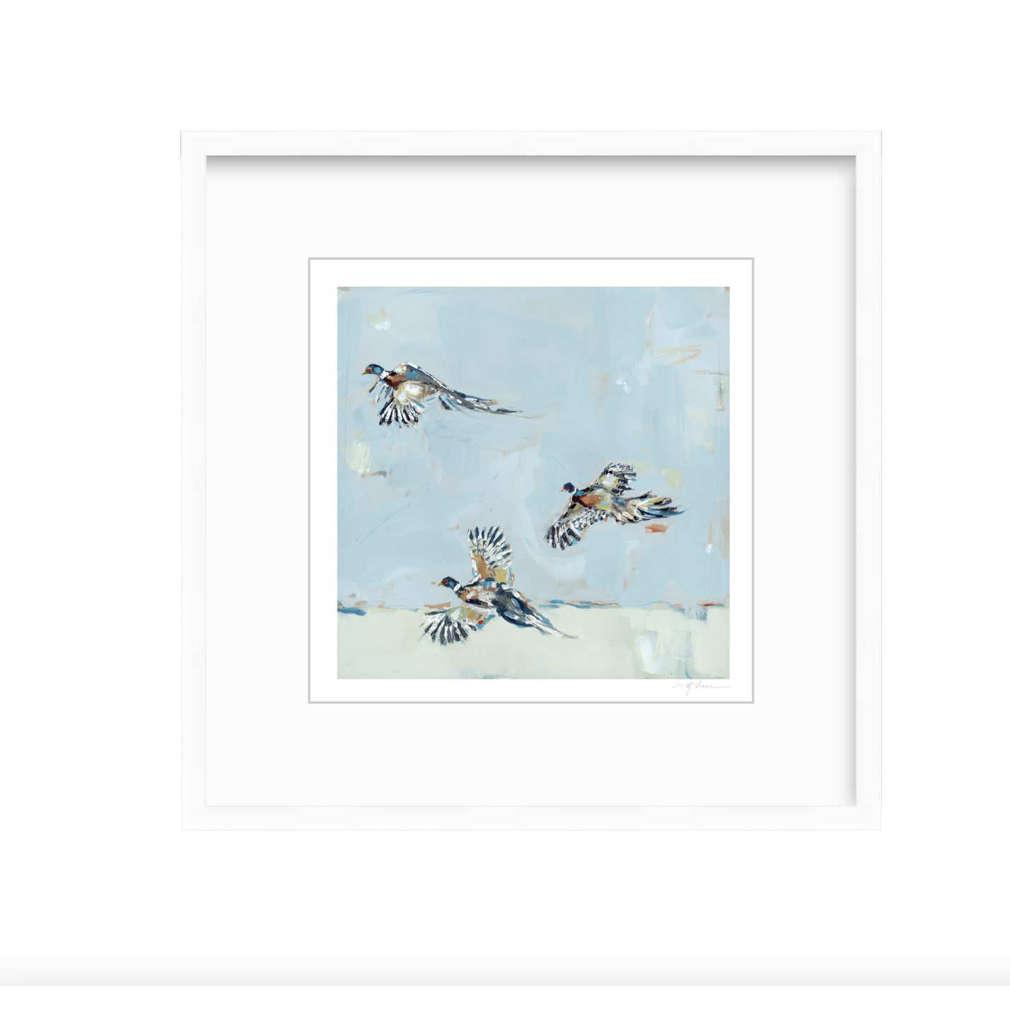 Pheasantly Surpised Pheasant Fine Art Print