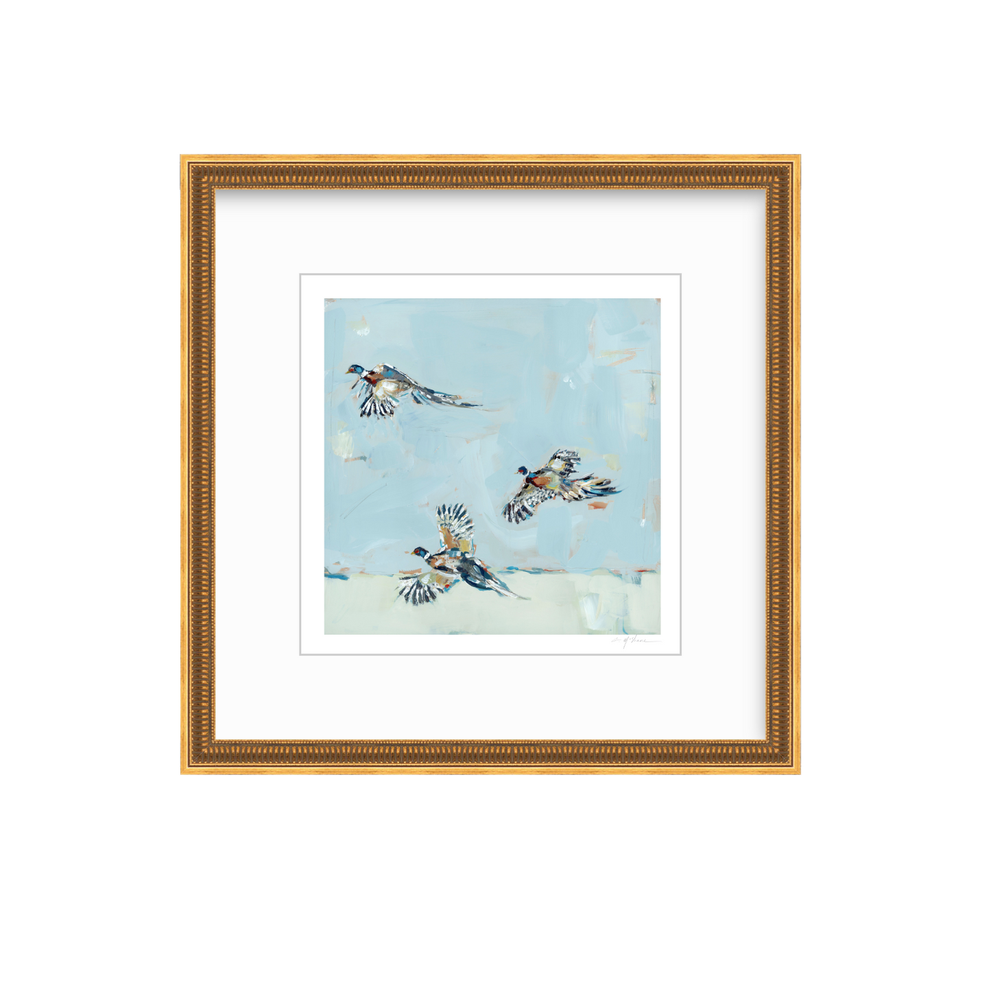 Pheasantly Surpised Pheasant Fine Art Print