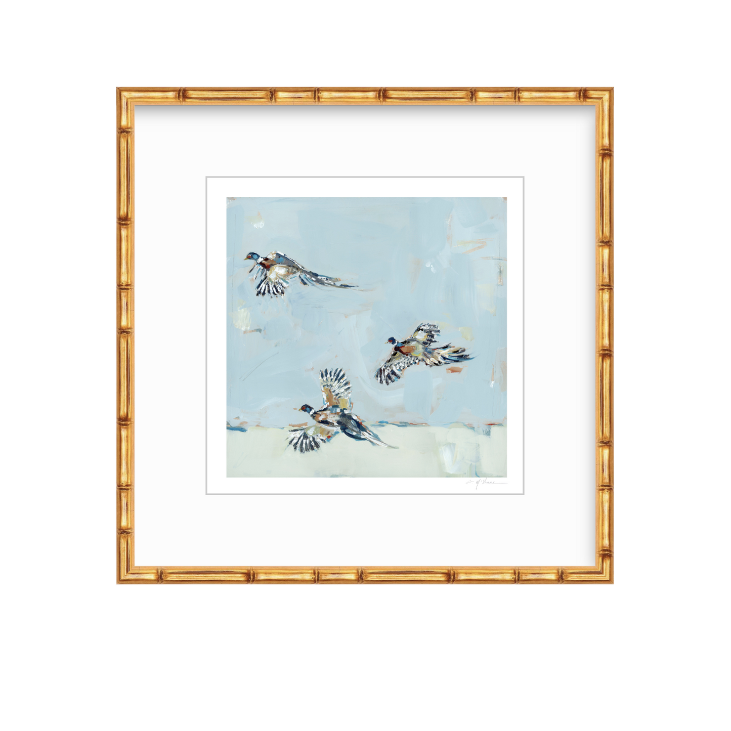 Pheasantly Surpised Pheasant Fine Art Print