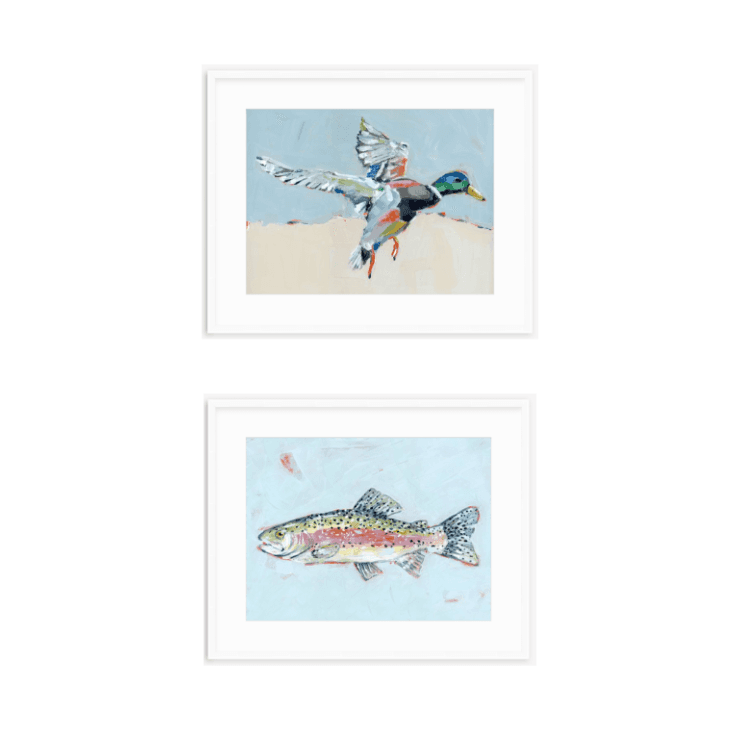 Shore Searching Mallard And Fish Fine Art Print