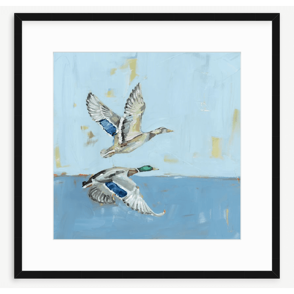 Soaring High Ducks Fine Art Print