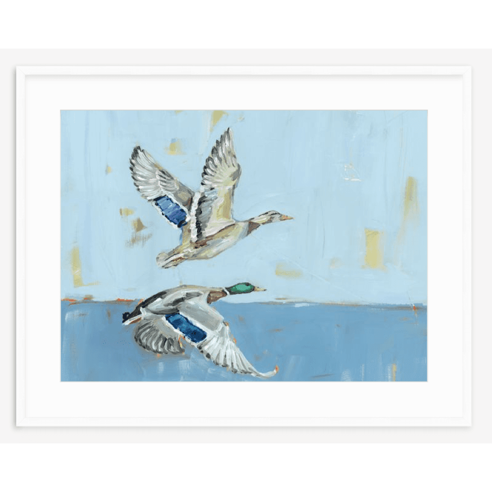 Soaring High Ducks Fine Art Print