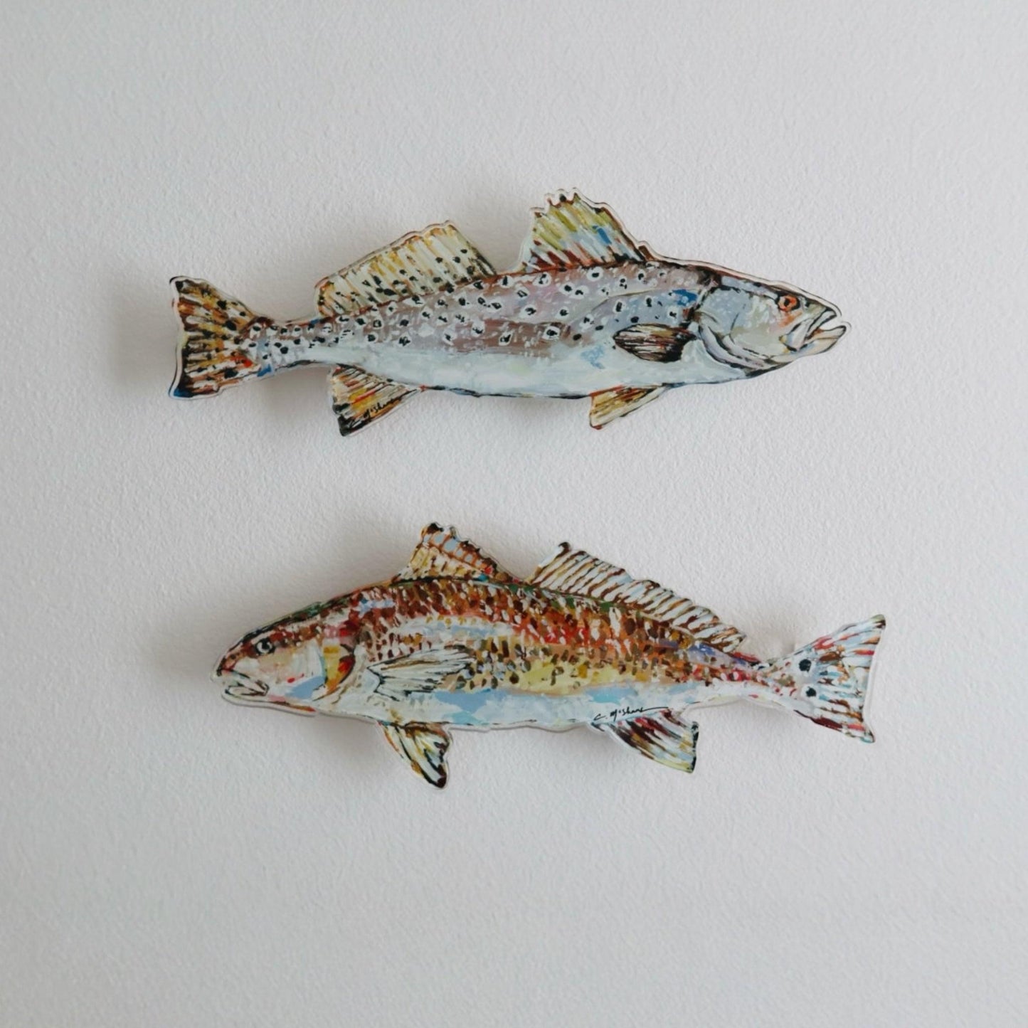 Speckled Sea Trout Acrylic Wall Contour