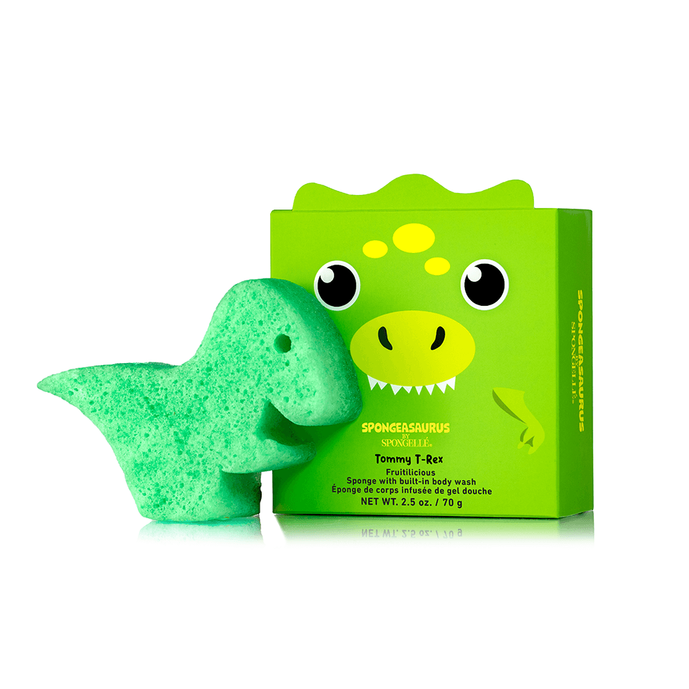 a green dinosaur sponge next to a box