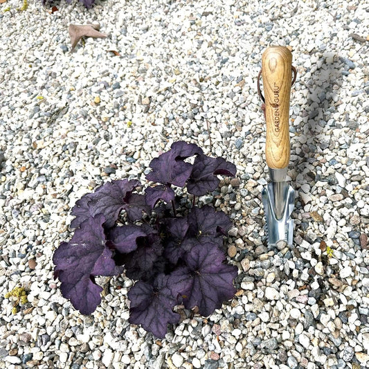 Stainless Steel 5-in-1 Weeder Trowel (classic wood handle)