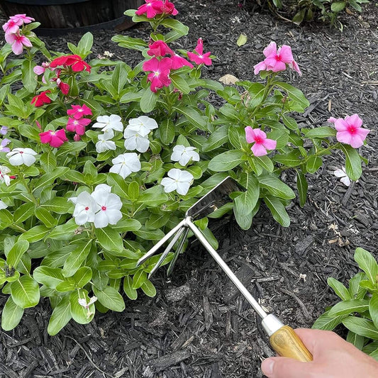 Stainless Steel Garden Cultivator Hoe (classic wood handle)