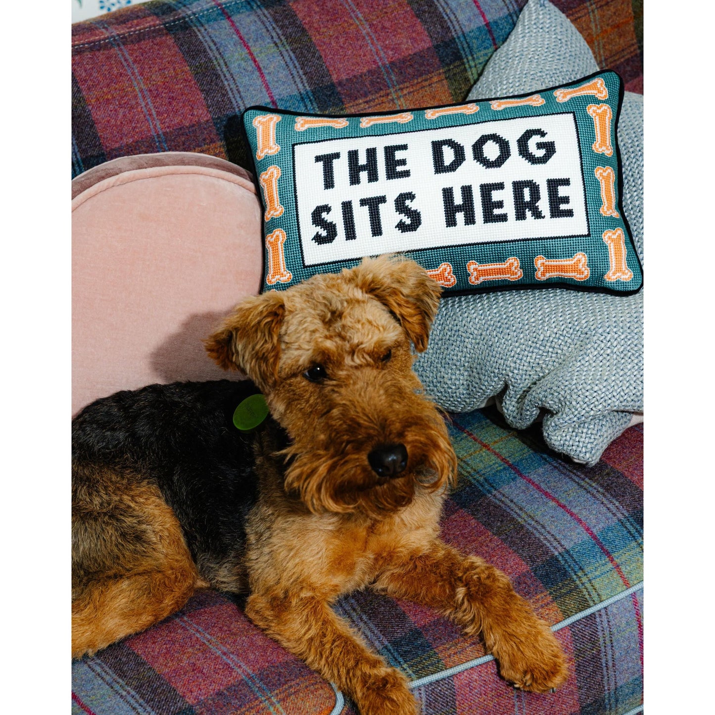 Dog Sits Here Needlepoint Pillow
